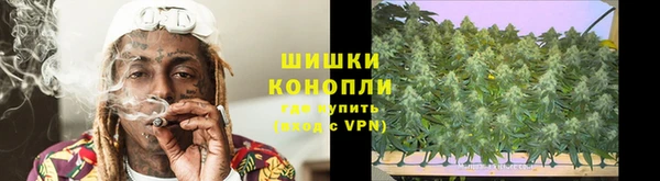 прущие крисы Вяземский