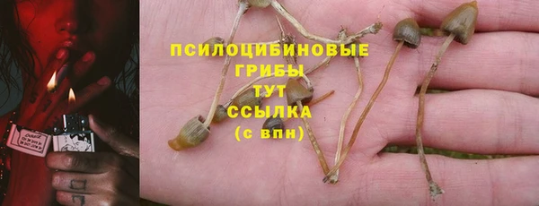 прущие крисы Вяземский