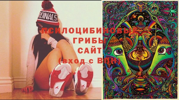 прущие крисы Вяземский