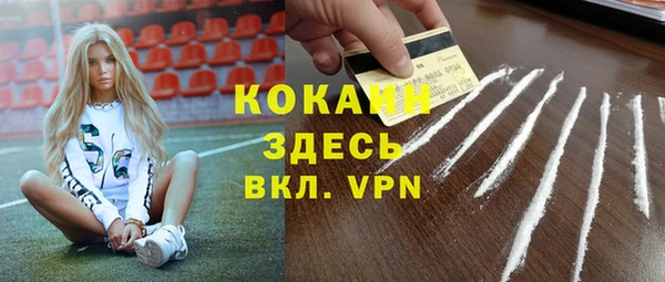 apvp Гусь-Хрустальный